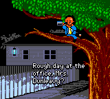 Little Nicky screenshot 4 for GameBoy Color